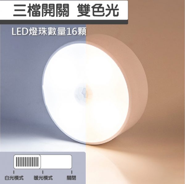 網頁設計-杉海堃資訊 LED 磁吸感應燈 圓款 14