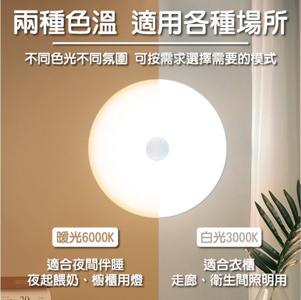 網頁設計-杉海堃資訊 LED 磁吸感應燈 圓款 8